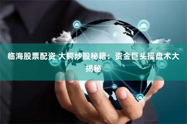 临海股票配资 大鳄炒股秘籍：资金巨头操盘术大揭秘