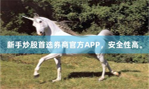 新手炒股首选券商官方APP，安全性高。